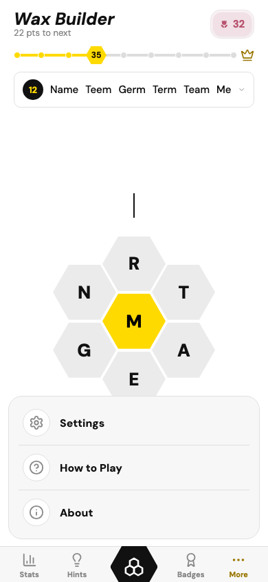 Settings screen with three themes and language selection